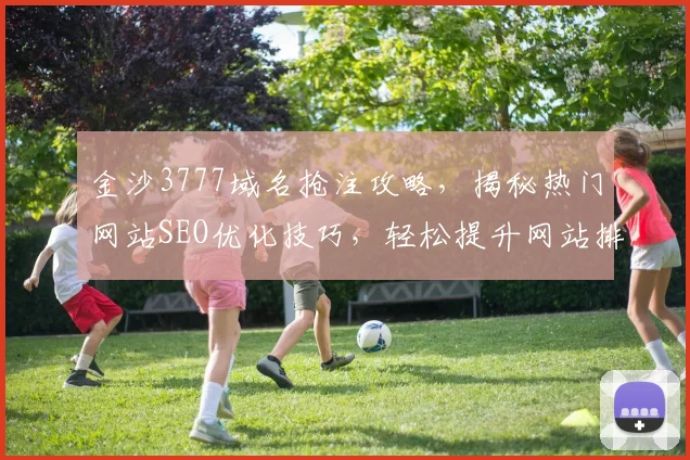 金沙3777域名抢注攻略，揭秘热门网站SEO优化技巧，轻松提升网站排名