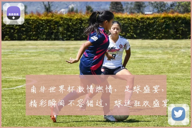 南非世界杯激情燃情，足球盛宴，精彩瞬间不容错过，球迷狂欢盛宴