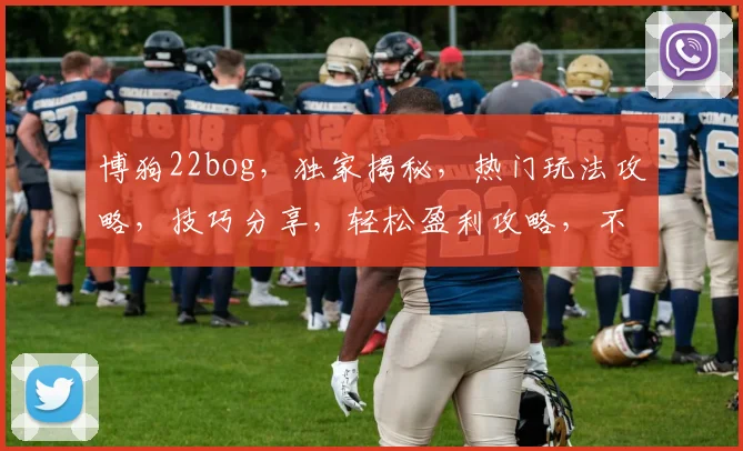 博狗22bog，独家揭秘，热门玩法攻略，技巧分享，轻松盈利攻略，不容错过