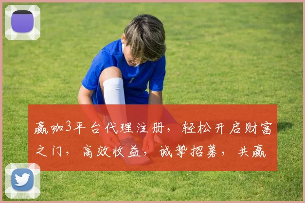 赢咖3平台代理注册，轻松开启财富之门，高效收益，诚挚招募，共赢未来，诚邀加入